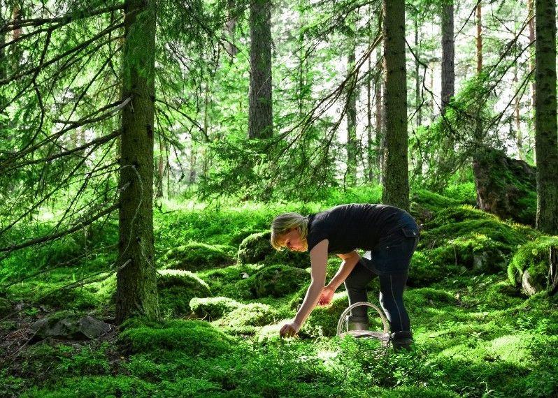 Travel to Finland: what to do and what to see