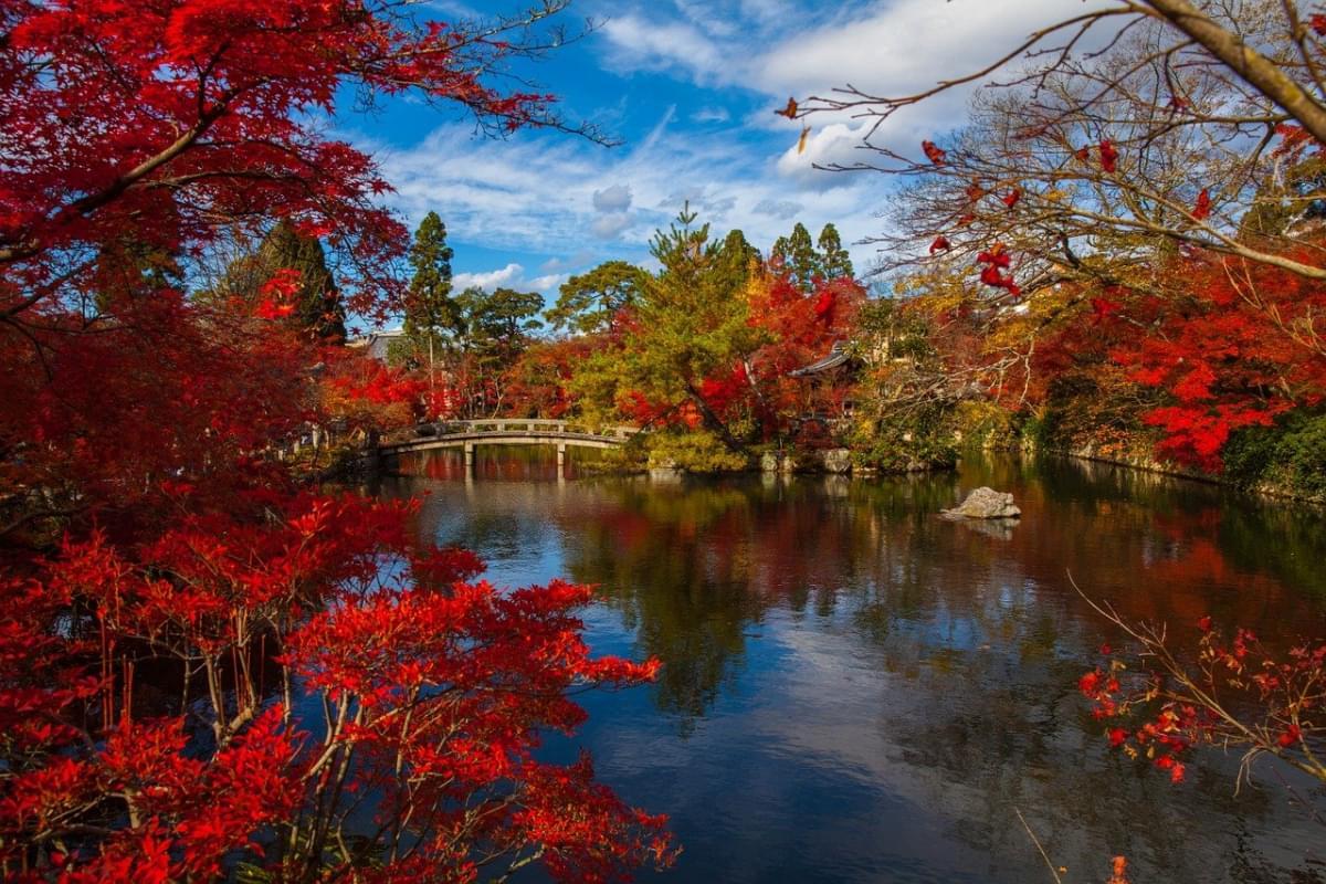 Where to sleep in Kyoto: tips and the best places to stay