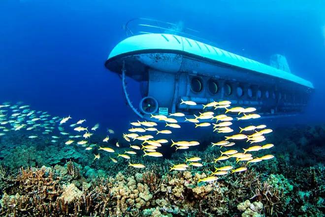 15 Fun Things to Do in Waikiki with Kids (for 2023)